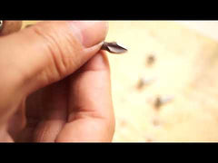 ZHIDA Phillips insert Bits PH2 One Inch Long no.2 cross bits 20 PCS